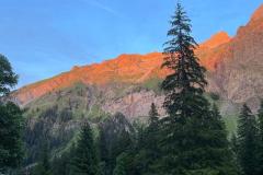 4e466a59-bc05-4ea9-a52c-b3f38bcb0efb