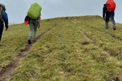 d62e7208-b4e7-4bbd-9a16-6b2f4111a6e8