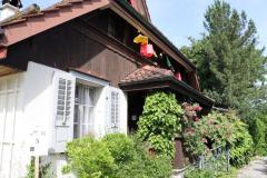 1_20250601091915_IMG_4252