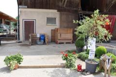 1_20250601142612_IMG_4308