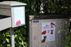 20250601092724_IMG_4256